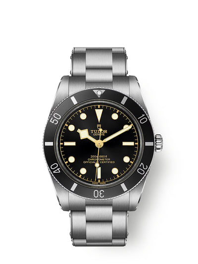 The New Tudor Black Bay 54, Small Or Perfect?